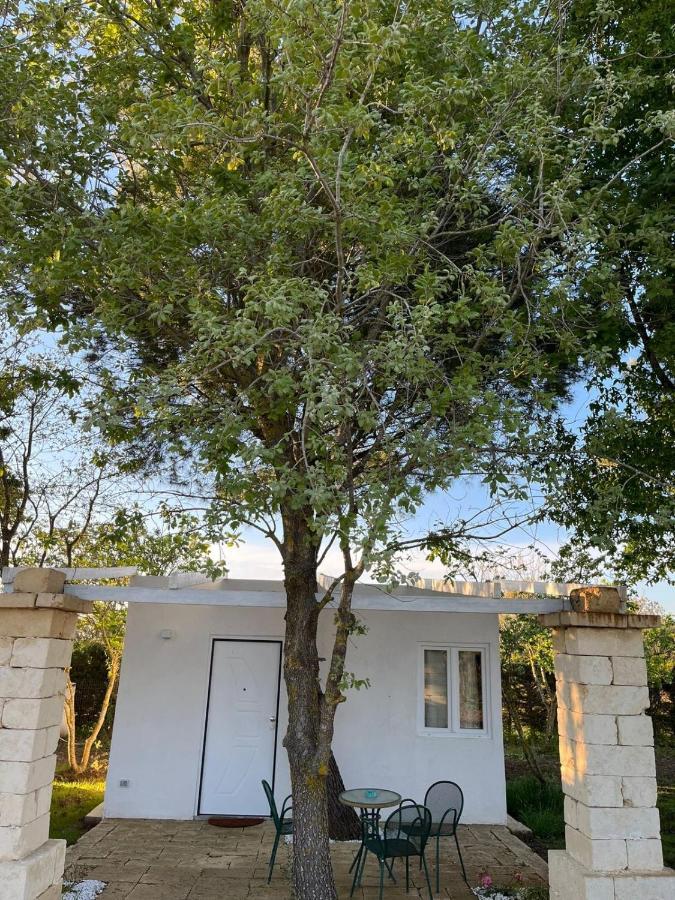 Agriturismo Tenuta La Monaca Aradeo Екстериор снимка